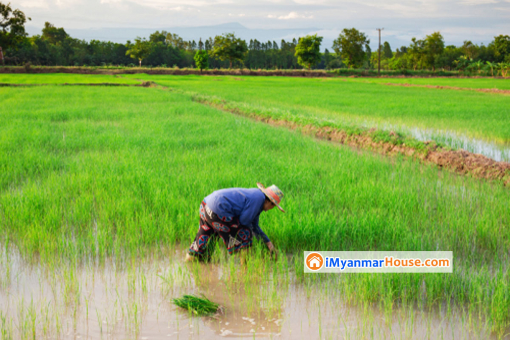 ပုံစံ(၇) ပျက်စီး/ပျောက်ဆုံးပါက ဆောင်ရွက်ရမည့် လုပ်ထုံးလုပ်နည်းများ - Property Knowledge in Myanmar from iMyanmarHouse.com