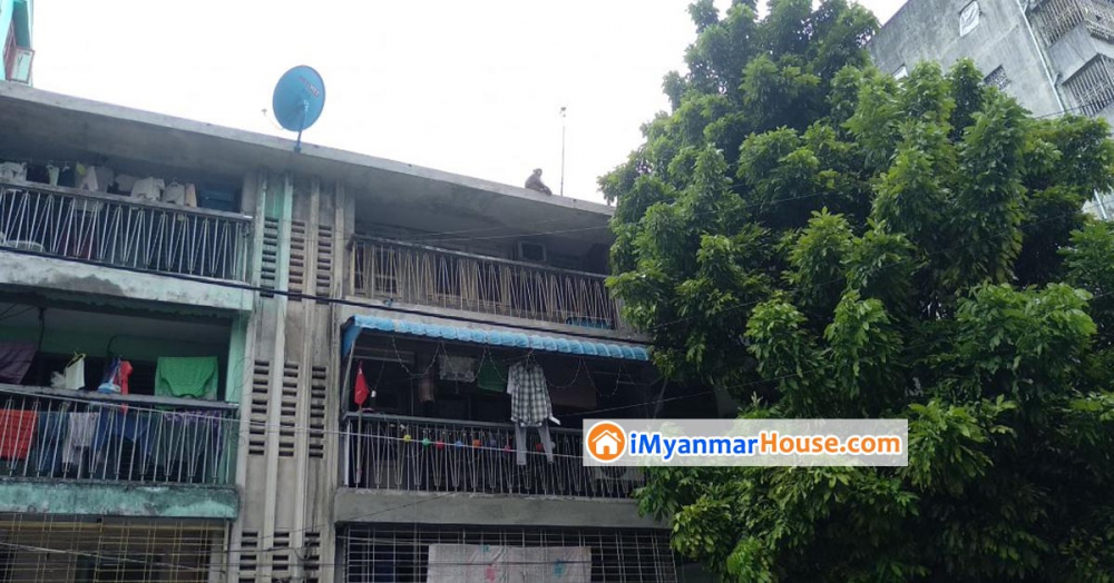 ကိုဗစ်ကာလ ရန်ကုန်မှာ လျှောက်သွားနေတဲ့ မျောက် ဖမ်းမိပြီ - Property News in Myanmar from iMyanmarHouse.com
