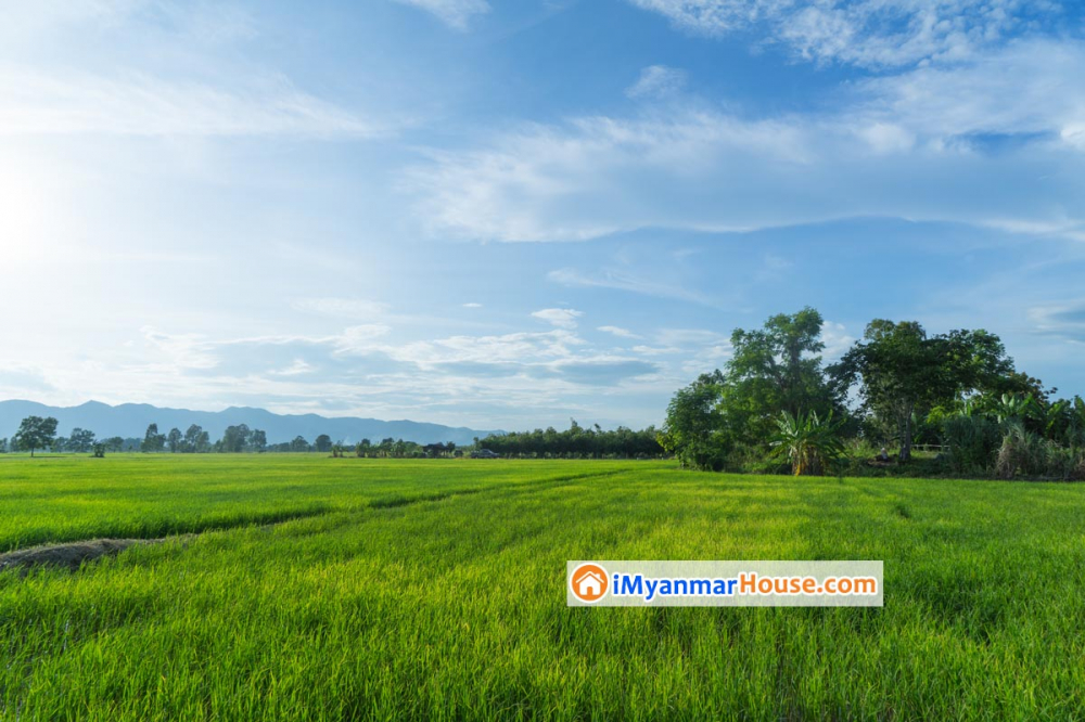 ဂရန် လျှောက်ထားခြင်း - Property Knowledge in Myanmar from iMyanmarHouse.com