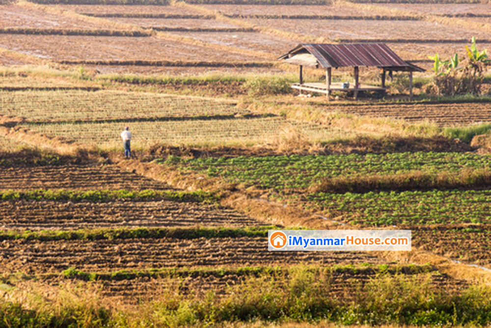 ဝယ်ယူထားသည့်မြေပေါ်တွင် ကျူးကျော်ဝင်ရောက်ခြင်းအတွက် ဆောင်ရွက်ရန် - Property Knowledge in Myanmar from iMyanmarHouse.com