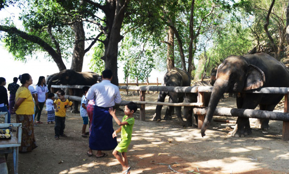 ပလင်းကမ်းသာယာဆင်စခန်းအား ခရီးသွားလုပ်ငန်းဖော်ဆောင်ရန်စီစဉ်နေ - Property News in Myanmar from iMyanmarHouse.com