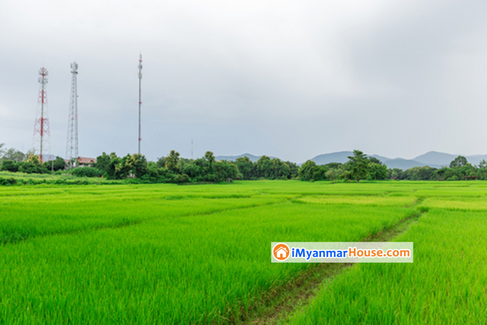 ပုံစံ(၇)မရှိသည့် လယ်ယာမြေပေါ်တွင် မြေနေရာဌားရမ်းပြီး တာဝါတိုင်စိုက်ထူခြင်း - Property Knowledge in Myanmar from iMyanmarHouse.com