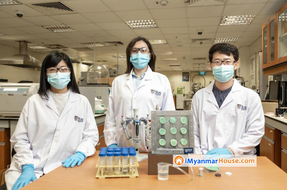 NUS researchers create aerogel that turns air into drinking water - Property News in Myanmar from iMyanmarHouse.com