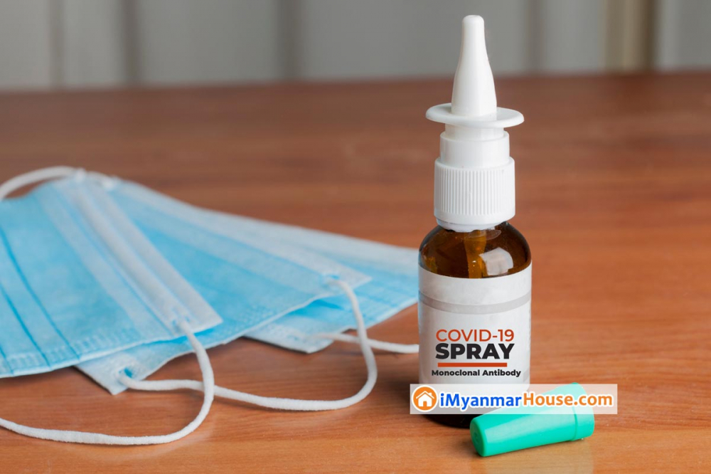 Nasal spray 'that can stop you catching Covid for up to two days' could be sold in high street pharmacies by summer - Property News in Myanmar from iMyanmarHouse.com