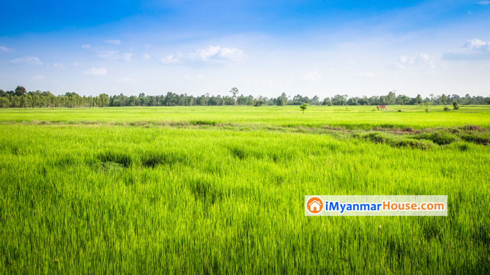 လယ်ယာမြေဝယ်လျှင် (၁၀) ဆင့် - Property Knowledge in Myanmar from iMyanmarHouse.com