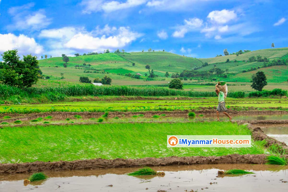 လယ်မြေကို ဂရန်မြေပြောင်းလို့ ရ/မရ။ - Property Knowledge in Myanmar from iMyanmarHouse.com