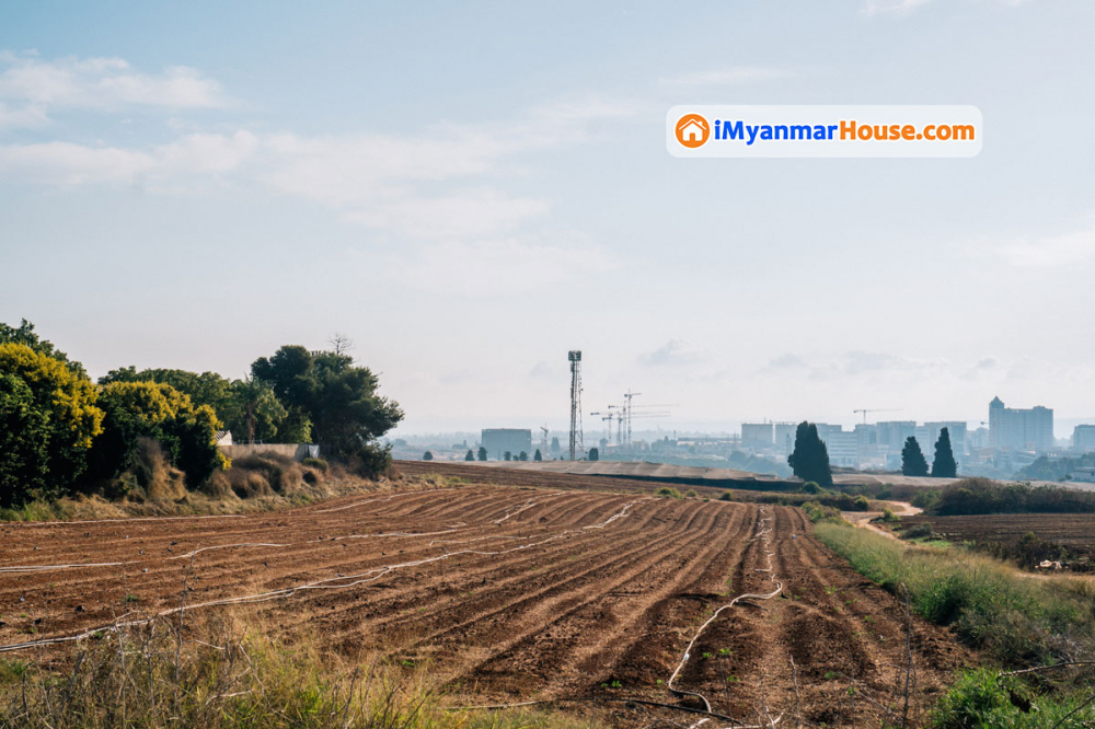 လယ်ယာမြေအဖြစ်ပြောင်းလဲသတ်မှတ်သွားနိုင်သောမြေလွတ်မြေရိုင်းများ အကြောင်း - Property Knowledge in Myanmar from iMyanmarHouse.com