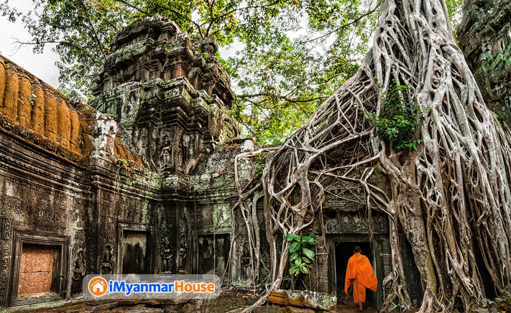 ထုထည်ကြီးမားလှတဲ့ ညောင်မြစ်ကြီးများ ယှက်တန်းကုပ်တွယ်ထားရာ နှစ်ပေါင်းထောင်ချီတိုင်ကြာမြင့်နေသော Ta Prohm ဘုရားကျောင်း - Property Knowledge in Myanmar from iMyanmarHouse.com