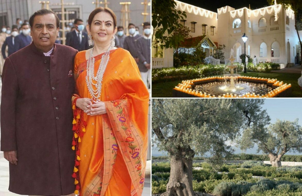 Asia’s richest man, Mukesh Ambani, is so superstitious that he spent $120,000 to import two olive trees from Spain to his ancestral home in India - Property Knowledge in Myanmar from iMyanmarHouse.com
