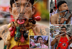 Facing their fears! Swords, axes and umbrella handles are pushed through devotees' CHEEKS at Thai vegetarian festival