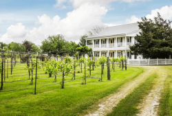 This gorgeous $1.25M home comes with a winery — and it’s not in California