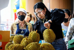 Thai farmers become millionaires thanks to China’s appetite for durian