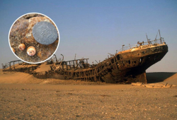 နှစ်ပေါင်း ၅၀၀ နီးပါး ပျောက်ဆုံးနေသော သင်္ဘောကြီးတစ်စင်းကို အာဖရိကရှိ သဲကန္တာရတစ်ခုထဲတွင် ရွှေဒင်္ဂါးများအပြည့်ဖြင့် ပြန