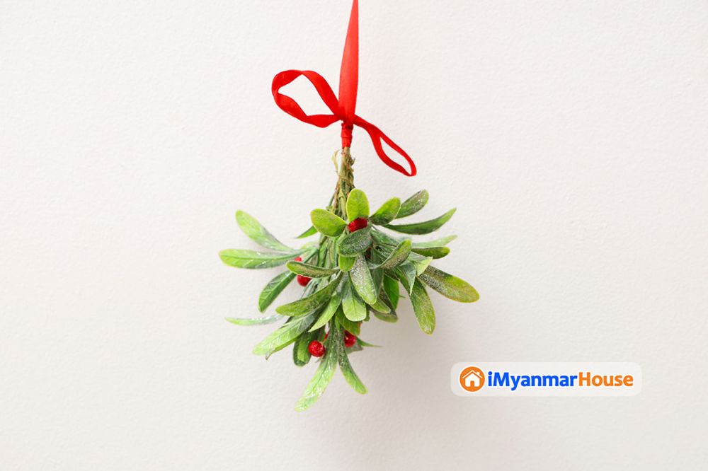 Kiss Me Under The Mistletoe - Property Knowledge in Myanmar from iMyanmarHouse.com