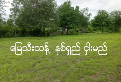 ဗိုလ်တထောင်မြို့နယ်. ကုန်သည်လမ်းမပေါ် မြေကွက်ကျယ် ငှားမည်
