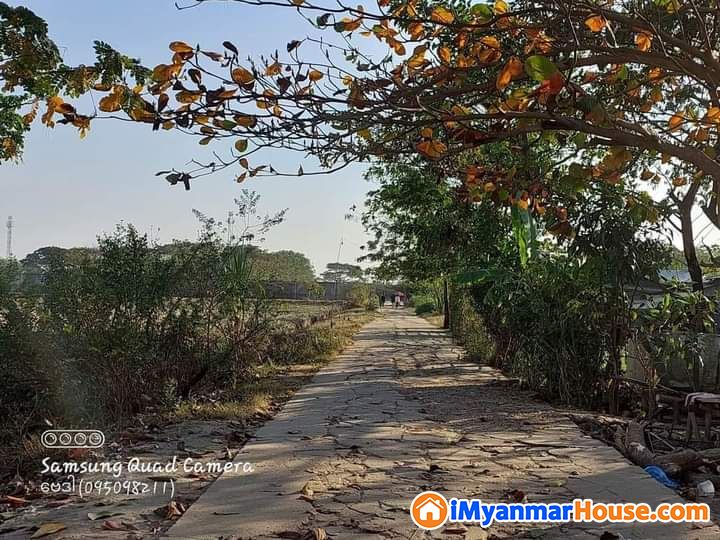 ၈၂ ရပ်ကွက်မြေကွက်အရောင်း - ရောင်းရန် - ဒဂုံမြို့သစ် ဆိပ်ကမ်း (Dagon Myothit (Seikkan)) - ရန်ကုန်တိုင်းဒေသကြီး (Yangon Region) - 250 သိန်း (ကျပ်) - S-11196157 | iMyanmarHouse.com