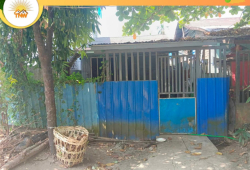 မြောက်ဒဂုံမြို့နယ် (44)ရပ်ကွက်ရှိ ?ပျဥ်ထောင် အိမ်အရောင်း