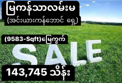 ေျမကြက္ အျမန္ ေရာင္းမည္