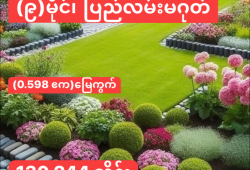 ေျမကြက္ အျမန္ ေရာင္းမည္