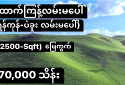 ေျမကြက္ အျမန္ ေရာင္းမည္