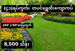 ေျမကြက္ အျမန္ ေရာင္းမည္