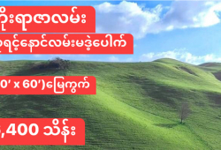 ေျမကြက္ အျမန္ ေရာင္းမည္