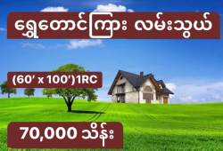 ေျမကြက္ အျမန္ ေရာင္းမည္