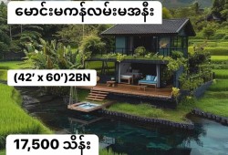 ေျမကြက္ အျမန္ ေရာင္းမည္