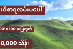 ေျမကြက္ အျမန္ ေရာင္းမည္