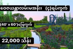 ေျမကြက္ အျမန္ ေရာင္းမည္