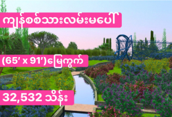 ေျမကြက္ အျမန္ ေရာင္းမည္