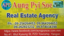 Aung Pyi Soe (Real Estate Agency)