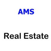 AMS Real Estate Service