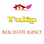 Tulip Real Estate