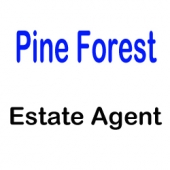 Pine Forest Real Estate