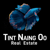 Tint Naing Oo Real Estate