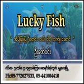 Lucky Fish Real Estate