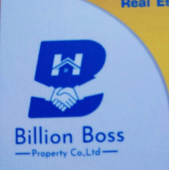 Billion Boss